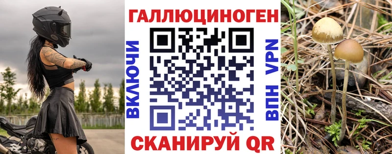 Псилоцибиновые грибы Psilocybe  Полярный 